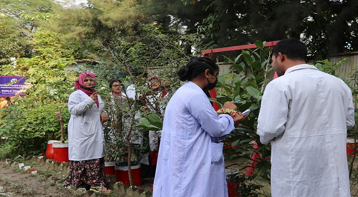 Medicinal Plant Garden